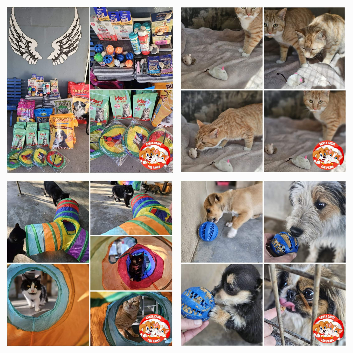 SPCA Kimberley